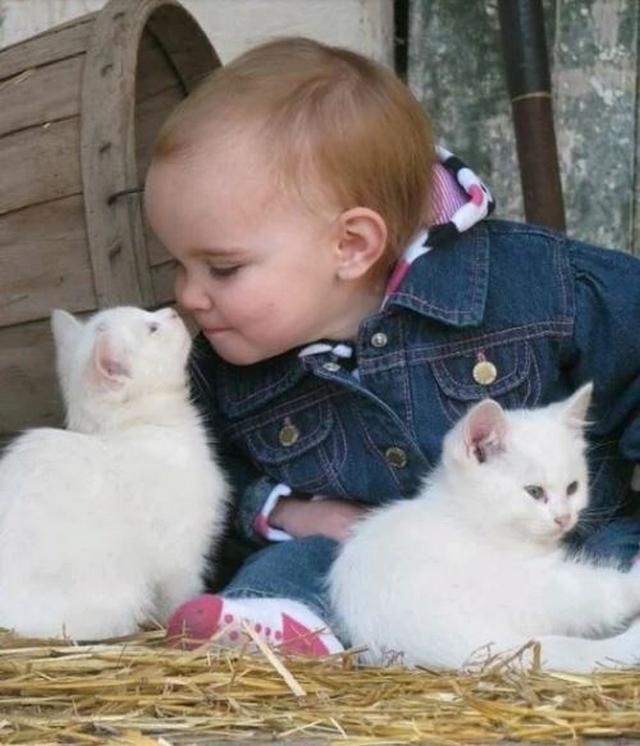 Kočky a děti / Cats and children