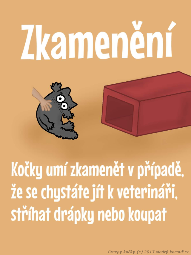 Komiks Creepy koky: Koi flexibilita. Modr kocou.cz