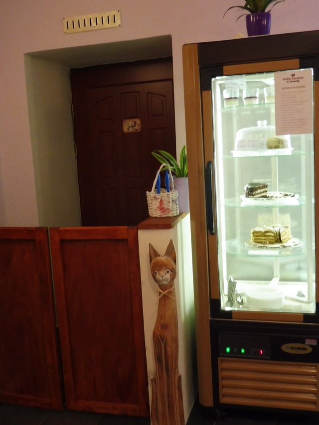 Na návštěvě v kočičí Kavárně U Surinky