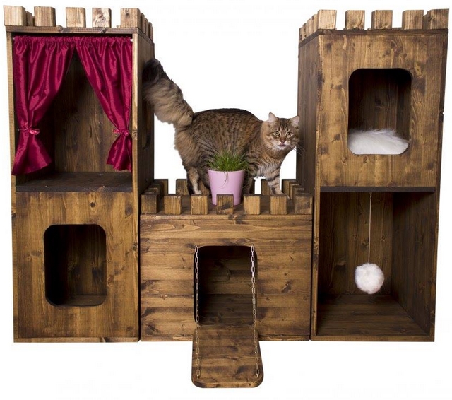 Kočičí hrad Cat Castle