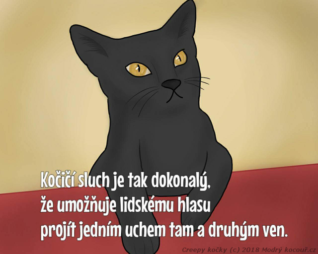 Komiks Creepy kočky: Kočičí sluch. Modrý kocouř.cz