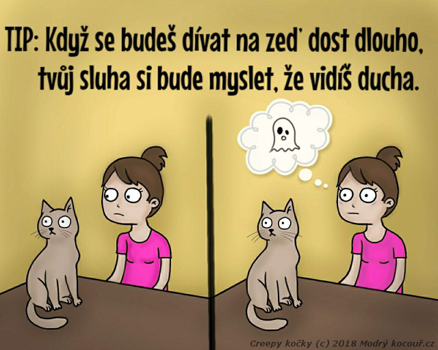 Komiks Creepy kočky: Jak vystrašit sluhy. Modrý kocouř.cz