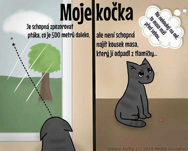 Komiks Creepy kočky: Kočičí zamíření. Modrý kocouř.cz