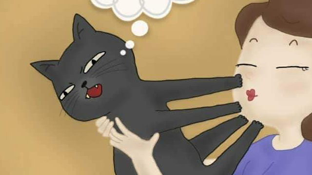 Creepy kočky: Když chcete dát kočce pusu