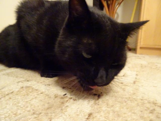 18. srpna 2026